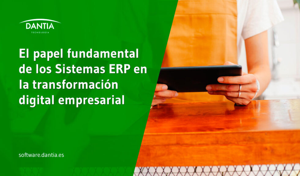El papel fundamental de los Sistemas ERP en la transformación digital ...
